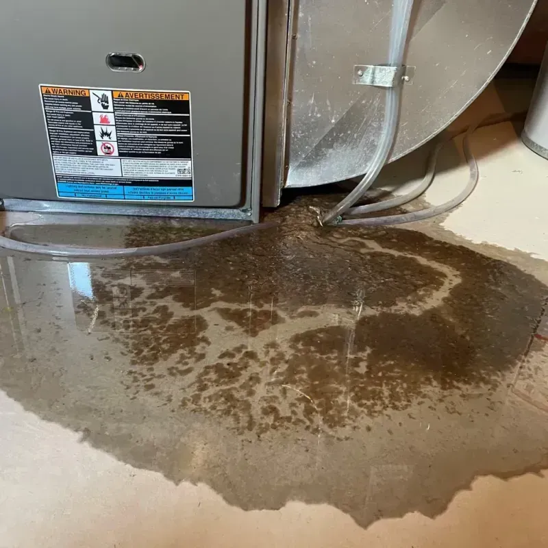 Appliance Leak Cleanup in Heflin, AL